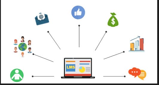 Ryze learning management system